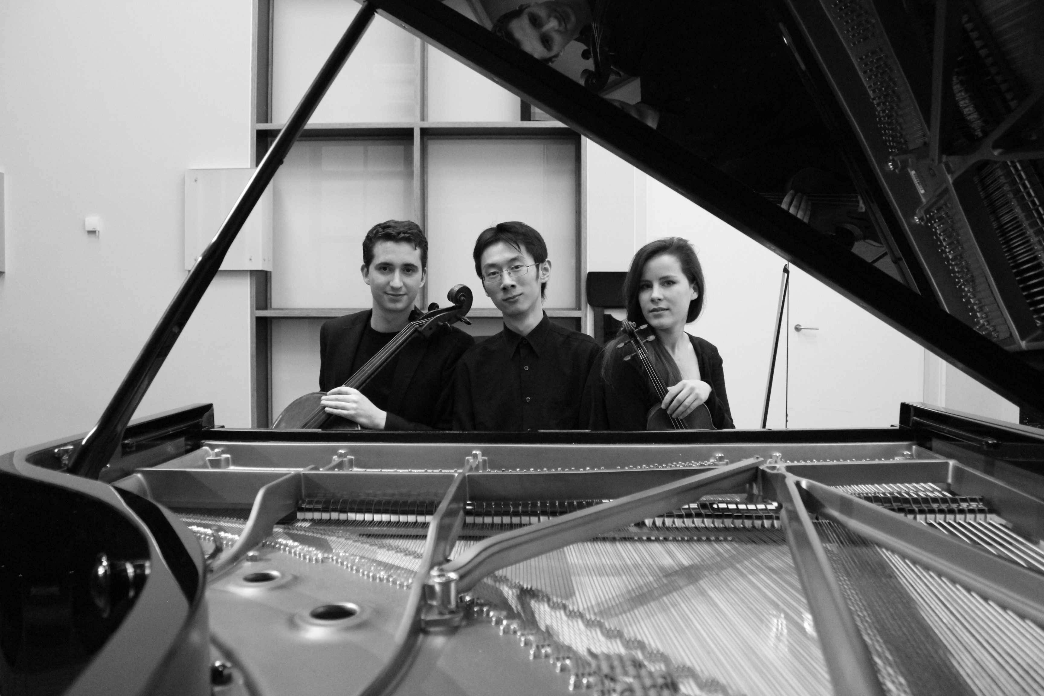 Amatis Trio