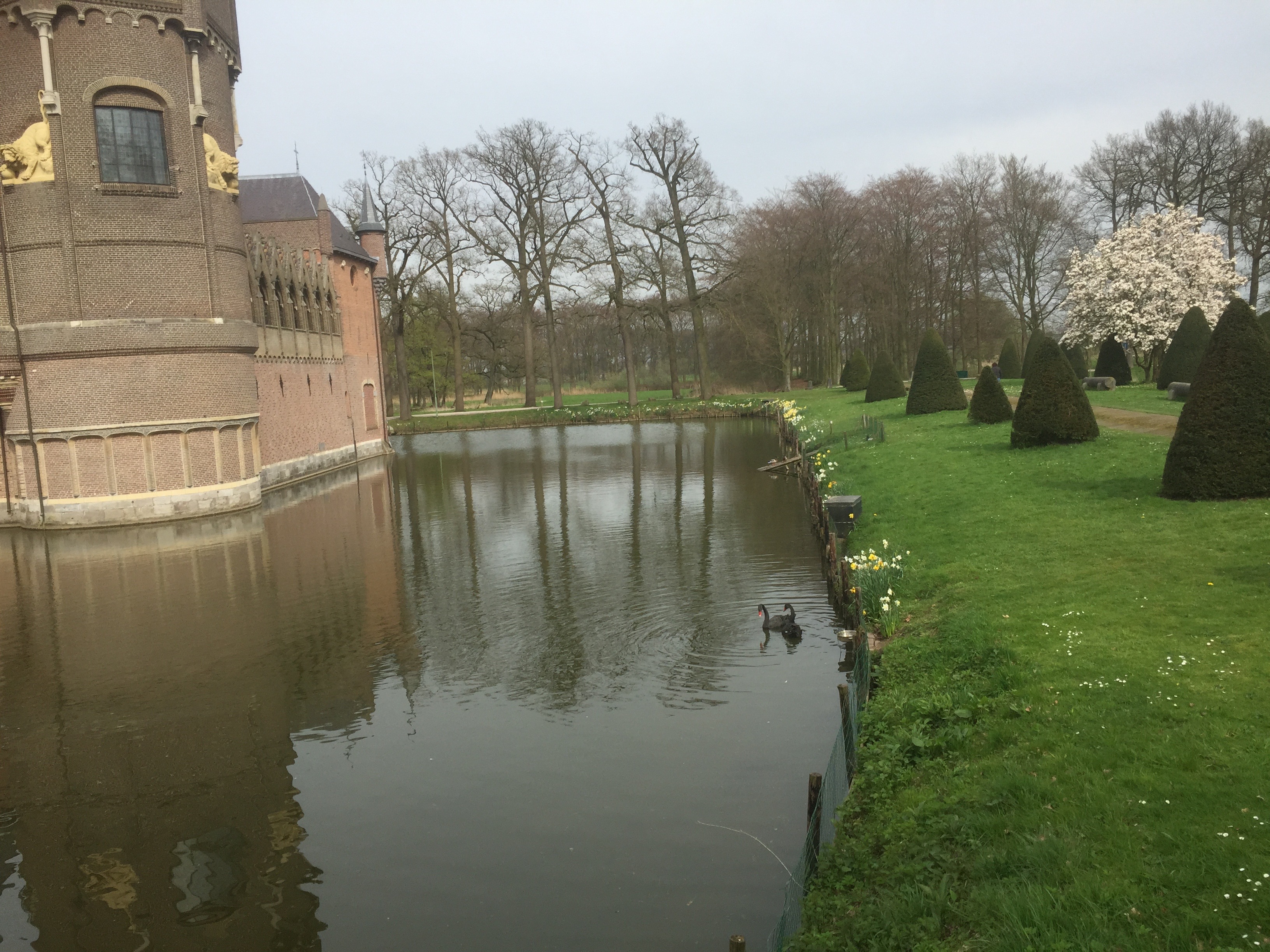 Kasteel Heeswijk slotgracht met zwarte zwanen